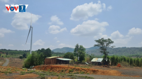 Gia Lai: Bức xúc, bất an dưới trụ điện gió chậm bồi thường.(29/5/2023)