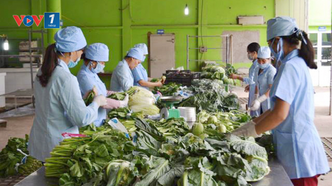 “Nóng” tình trạng vi phạm về an toàn thực phẩm (16/5/2023)