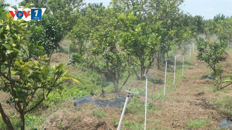 Chuyển đổi số trong lĩnh vực nông nghiệp tại Sóc Trăng hướng tới nông nghiệp thịnh vượng, nông thôn văn minh hiện đại, nông dân giàu có.