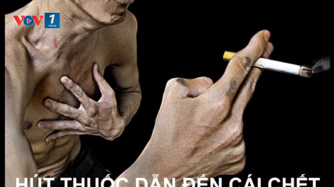 Kéo giảm tỷ lệ người hút thuốc lá ở Việt Nam, cách nào? (25/05/2023