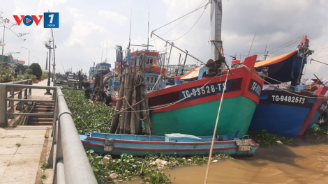 Tiền Giang: Ngư dân chấp hành các quy định chống khai thác thủy sản bất hợp pháp (22/5/2023)