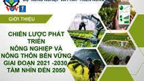Chuyển đổi hệ thống lương thực thực phẩm thích ứng với biến đổi khí hậu trong bối cảnh khủng hoảng mới. (5/6/2023)