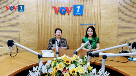 Học ngành Du lịch có cơ hội việc làm như thế nào?(18/06/2023)