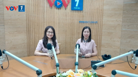 Thực thi cơ chế thuế tối thiểu toàn cầu và bài toán duy trì sức hút nguồn vốn FDI (20/6/2023)