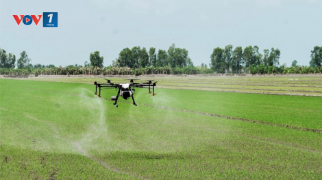 Cơ giới hoá để giảm chi phí, tăng hiệu quả sản xuất nông nghiệp (30/06/2023)