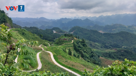 Hà Giang: Bài học từ việc khai thác rừng trái phép (21/7/2023)