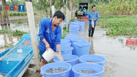 Dịch bệnh trên thủy sản sẽ diễn biến phức tạp trong 2 quý cuối năm (24/07/2023)