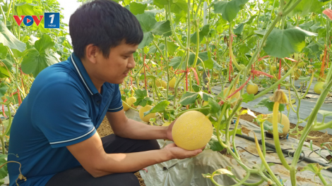 Lai Châu: Nâng cao giá trị sản xuất nông nghiệp (31/07/2023)