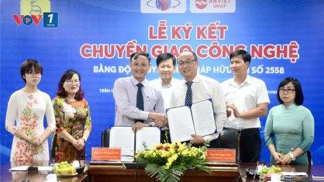 Phát triển và ứng dụng công nghệ xử lý đất ô nhiễm xăng, dầu bằng chế phẩm vi sinh tạo màng sinh học trên chất mang than sinh học (22/7/2023)