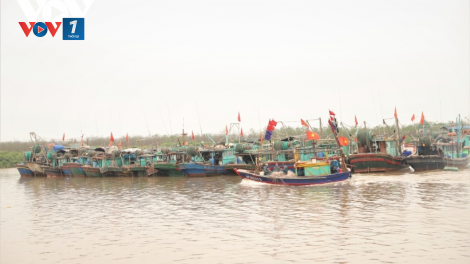 Hải Phòng: Đẩy mạnh chống khai thác IUU, góp phần phát triển thủy sản bền vững (26+27/07/2023)