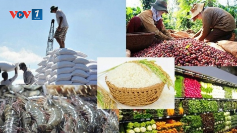 THỜI SỰ 6H SANG 04/7/2023: Lần đầu tiên kim ngạch xuất khẩu rau quả của nước ta đạt gần 2 tỷ 800 triệu USD trong 6 tháng, gần đạt mục tiêu của cả năm nay