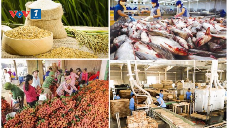 Xuất khẩu nông sản - thách thức với mục tiêu 55 tỷ USD (10/07/2023)