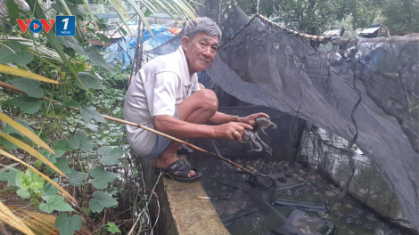 Tiền Giang: Người thương binh cao tuổi lao động giỏi, nhiệt tình với hoạt động xã hội. (27/07/2023)
