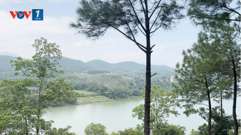 Người trồng rừng ngóng chờ thị trường tín chỉ carbon (22/06/2023)