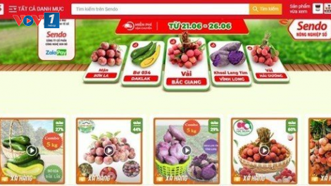 Sàn thương mại điện tử thúc đẩy tiêu thụ nông sản (18/07/2023)