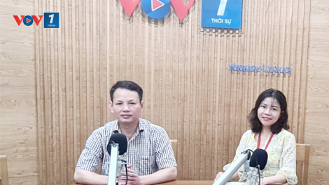 Điều trị sốt xuất huyết, giảm chuyển nặng cho bệnh nhân (26/8/2023)