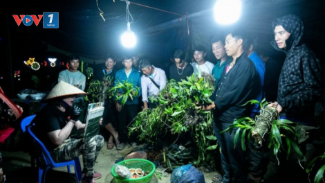 Chợ đêm Tủa Chùa, tỉnh Điện Biên: Kết nối du lịch và tiêu thụ nông sản (01/08/2023)