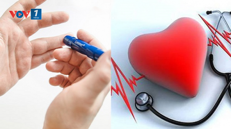 Giảm nguy cơ biến chứng tim mạch ở người bệnh tiểu đường (26/8/2023)