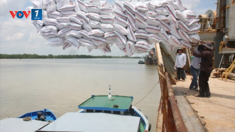 THỜI SỰ 12H TRƯA 04/8/2023: Tăng xuất khẩu gạo nhưng phải đảm bảo an ninh lương thực
