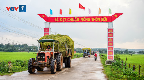 Hải Dương: Tập trung xây dựng nông thôn mới nâng cao và kiểu mẫu (19/08/2023)