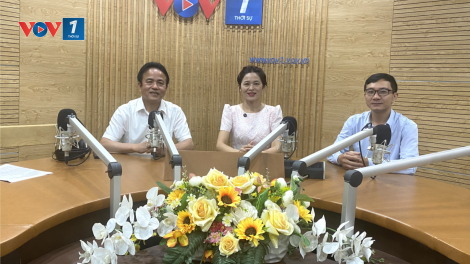 Doanh nghiệp khởi nghiệp làm gì để tham gia chuỗi giá trị toàn cầu? (2/8/2023)