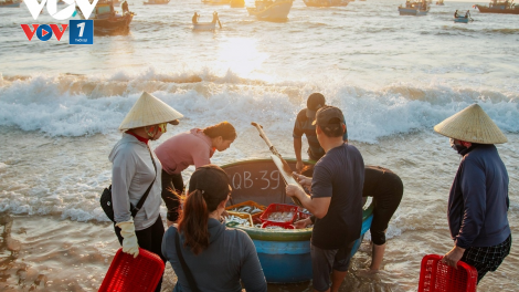 Giong buồm ra biển (08/08/2023)