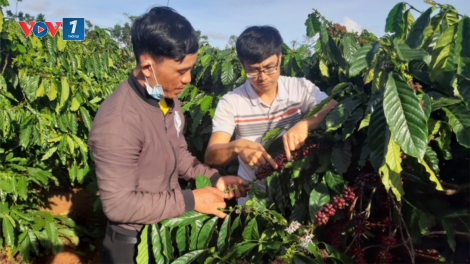 Gia Lai: Những đảng viên dân tộc thiểu số gương mẫu đi đầu ở Glar (01/8/2023)