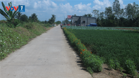 Mỹ Xuyên – địa phương đi đầu trong phong trào xây dựng nông thôn mới ở Sóc Trăng (31/08/2023)