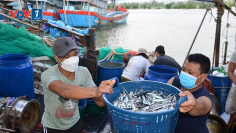 THỜI SỰ 6H SÁNG 06/8/2023: Các địa phương khẩn trương thực hiện các biện pháp mạnh chống khai thác hải sản bất hợp pháp, không báo cáo và không theo quy định