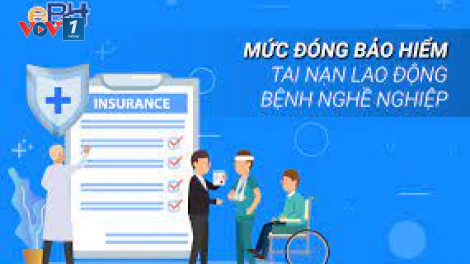 Không nên cào bằng mức đóng Bảo hiểm tai nạn lao động, bệnh nghề nghiệp (22/09/2023)