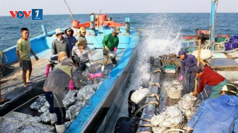 Đảm bảo an toàn cho tàu cá vươn khơi mùa mưa bão (09/09/2023)
