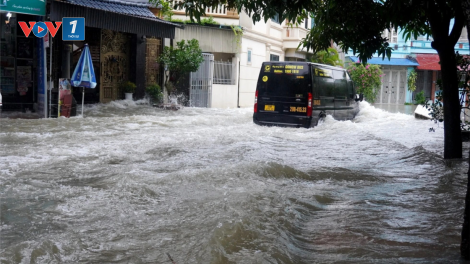 THỜI SỰ 12H TRƯA 25/9/2023: Các tỉnh miền Trung, Tây Nguyên chủ động ứng phó với Áp thấp nhiệt đới gây mưa to