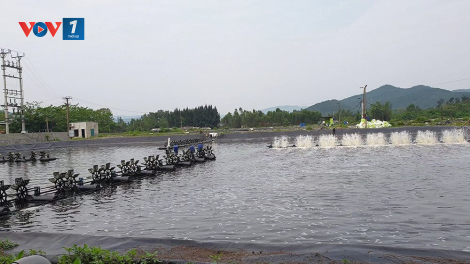 Nuôi trồng thuỷ sản ven biển thích ứng với biến đổi khí hậu (11/09/2023)