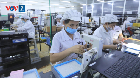 Hiệu quả từ các chương trình hỗ trợ doanh nghiệp nhỏ và vừa tiếp cận thị trường thế giới (13/9/2023)