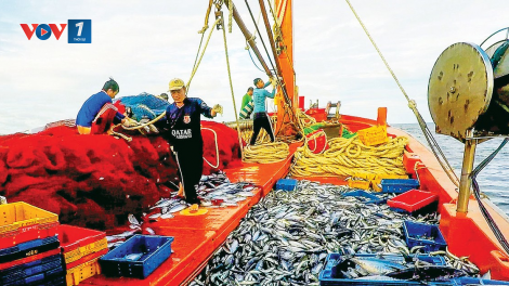 Lực lượng chức năng và địa phương chung tay gỡ thẻ vàng EC (27/09/2023)