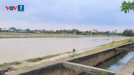 Hoàn thành đổ ải ngay trong đợt 1 xả nước các hồ thủy điện (18/01/2024)