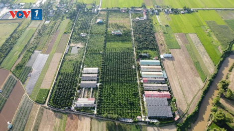 Về nơi nhiều mô hình trang trại có cách làm sáng tạo (22/01/2024)