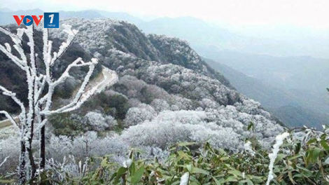 THỜI SỰ 6H SÁNG 24/01/2024: Thủ tướng Chính phủ yêu cầu các tỉnh, thành phố và các Bộ, ngành chủ động phòng, chống rét đậm, rét hại kéo dài
