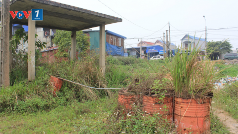 Bài 2: Đất vàng bị bỏ hoang – Lãng phí, ô nhiễm môi trường (03/08/2023)