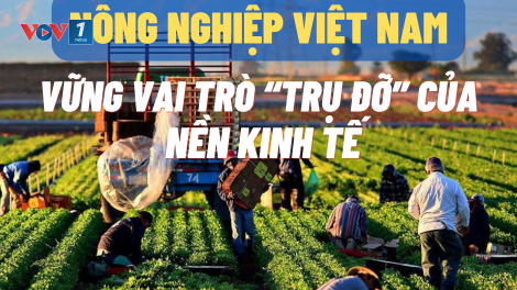 Nông nghiệp Việt Nam – về đích ngoạn mục, bứt phá vươn xa (01/01/2024)