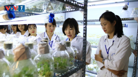 Cần làm gì để tạo điều kiện cho những nhà khoa học nữ chuyên tâm nghiên cứu và cống hiến (19/10/2024)