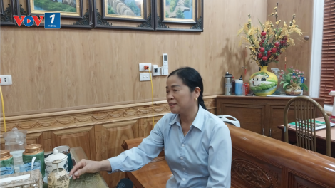 Vĩnh Phúc phấn đấu đạt top 10 địa phương thực hiện chuyển đổi số quốc gia(24/10/2024)