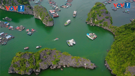 Hải Phòng: Thành lập Ban chỉ đạo Quản lý Di sản thiên nhiên thế giới vịnh Hạ Long – quần đảo Cát Bà (22/10/2024)