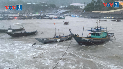 Phó Thủ tướng Trần Hồng Hà: Các địa phương thực hiện nghiêm công tác cấm biển (27/10/2024)