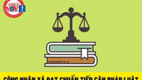 Bản tin triển khai công tác  đánh giá, công nhận xã phường thị trấn đạt chuẩn tiếp cận pháp luật (29/10/2024)