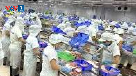 Chính sách an sinh xã hội đổi mới để phù hợp với người lao động (21/10/.2024)
