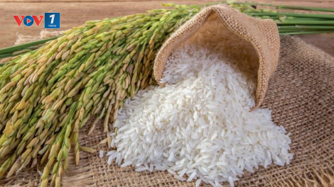 THỜI SỰ 12H TRƯA 9/10/2024: Thêm một thương hiệu gạo của Việt Nam thâm nhập thị trường Nhật Bản.