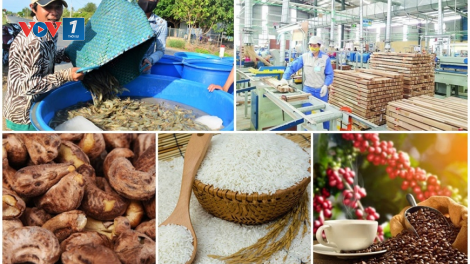 Tăng trưởng kỷ lục - Nông sản xuất khẩu rộng đường ra biển lớn (24/10/2024)
