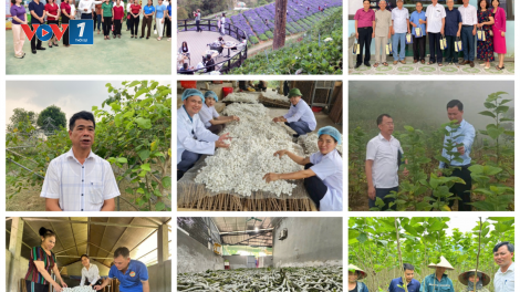 Gỡ rối thúc đẩy du lịch canh nông phát triển (22/10/2024)