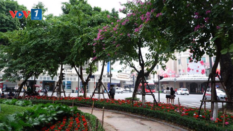 Phải quan trắc, giám sát thường xuyên, liên tục môi trường không khí (25/10/2024)